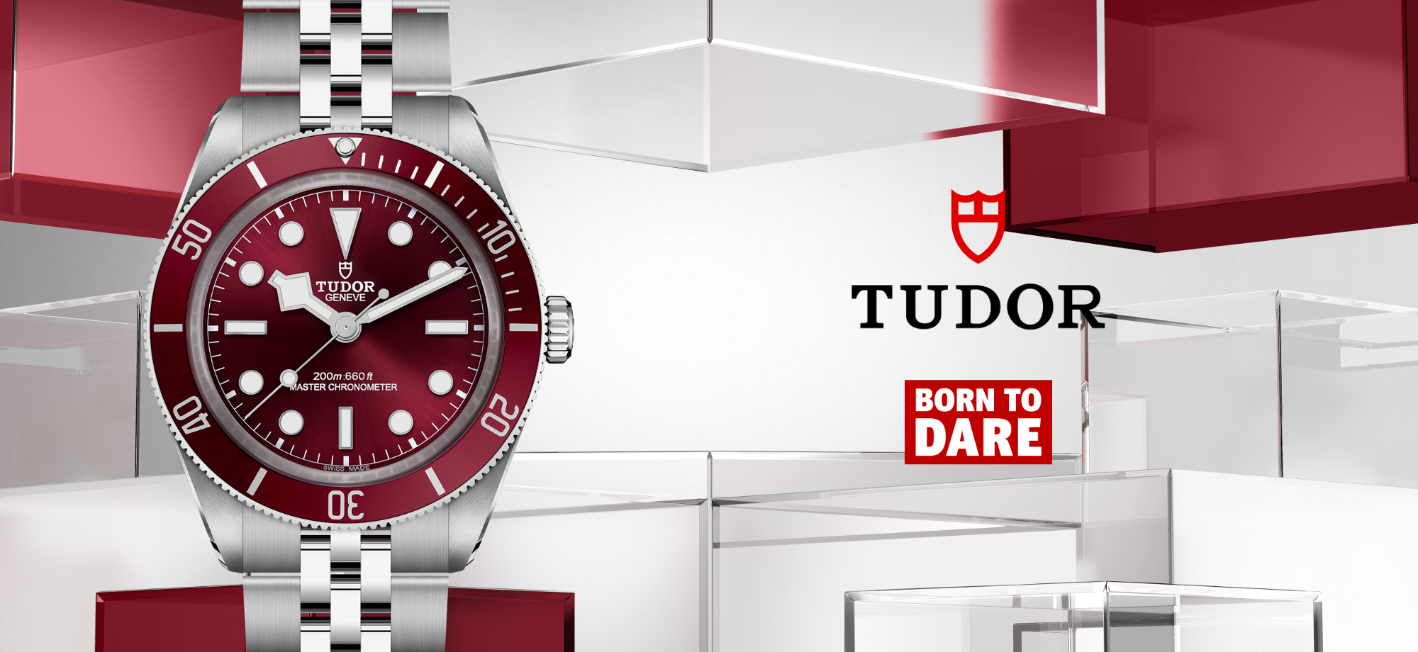 Tudor banner