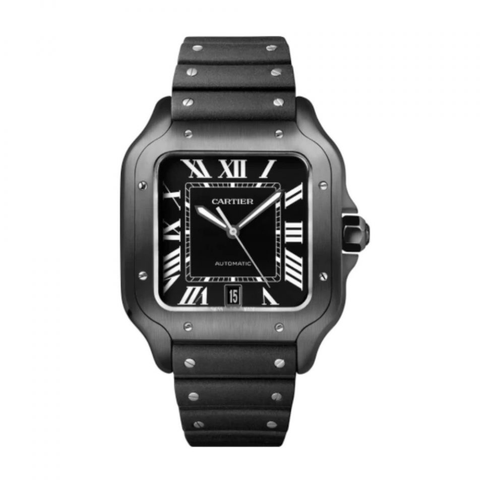 SANTOS WATCH