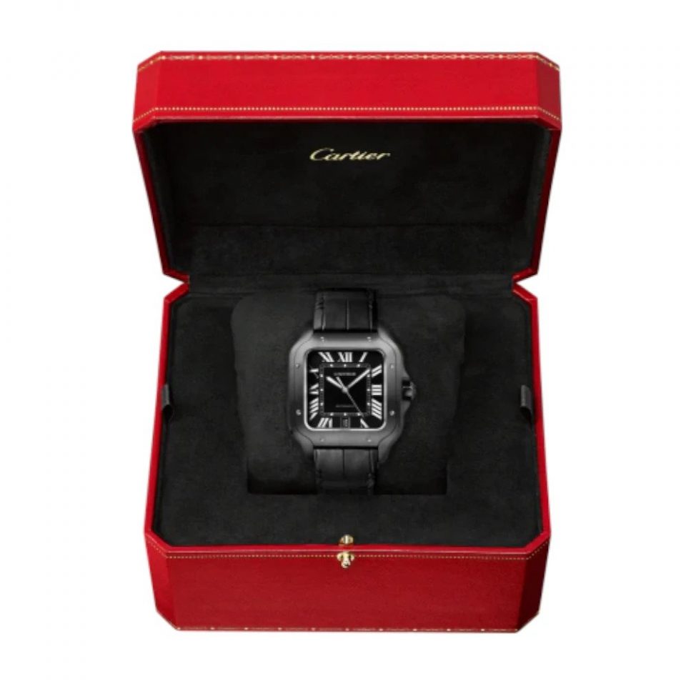 SANTOS WATCH